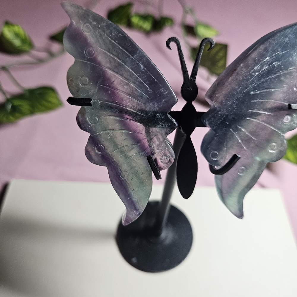 Rainbow Fluorite Butterfly Wings With Stand - Picture 2 of 4